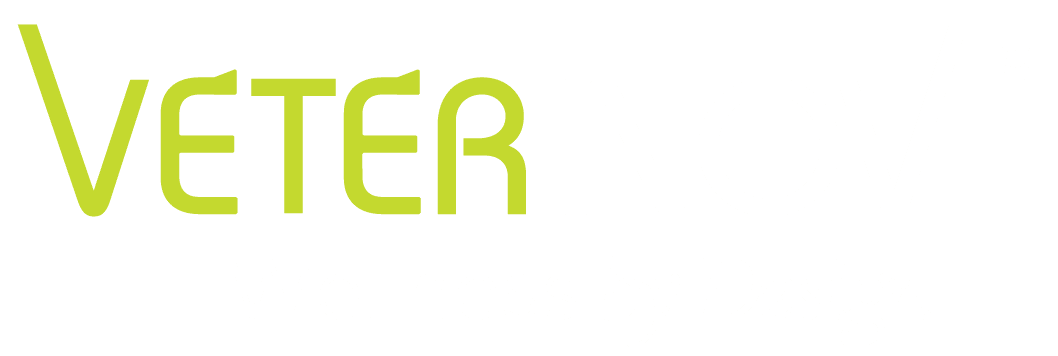Logo Wellness by Deisgn