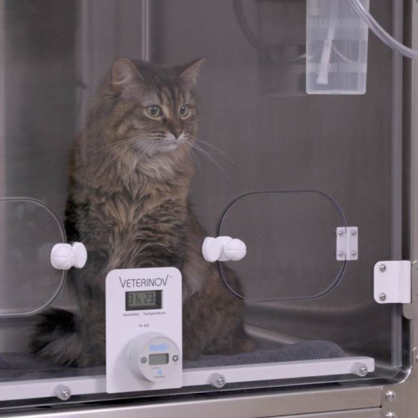 Oxygen therapy door - Image 6