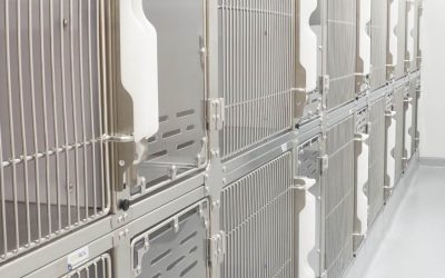 The 5 Important Elements When Choosing a Professional Veterinary Cage