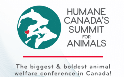 La participation de Vétérinov au Humane Canada’s Summit For Animals 2024