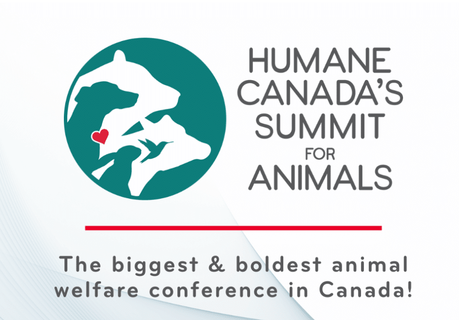 La participation de Vétérinov au Sommet de Humane Canada 2024