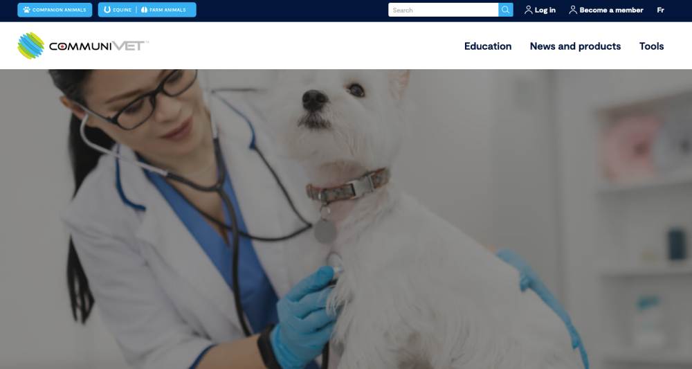 Le partenariat innovant entre Vétérinov et CommuniVET : une collaboration au service de la médecine vétérinaire
